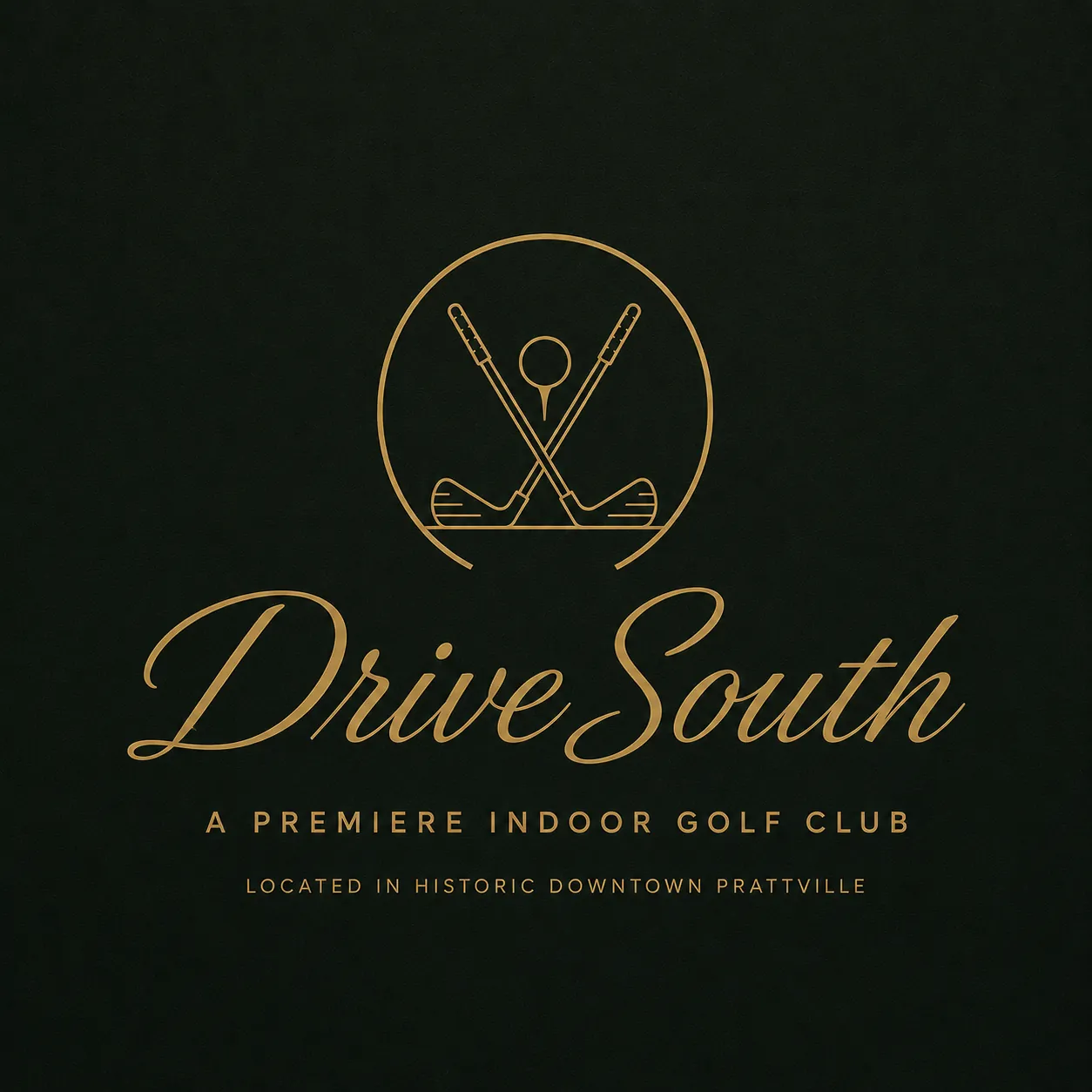 DriveSouth premium indoor golf club logo